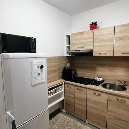 Daire Fara No71 2 Libice nad Cidlinou