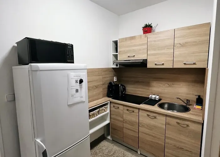 Apartment Fara No71 2 Libice nad Cidlinou